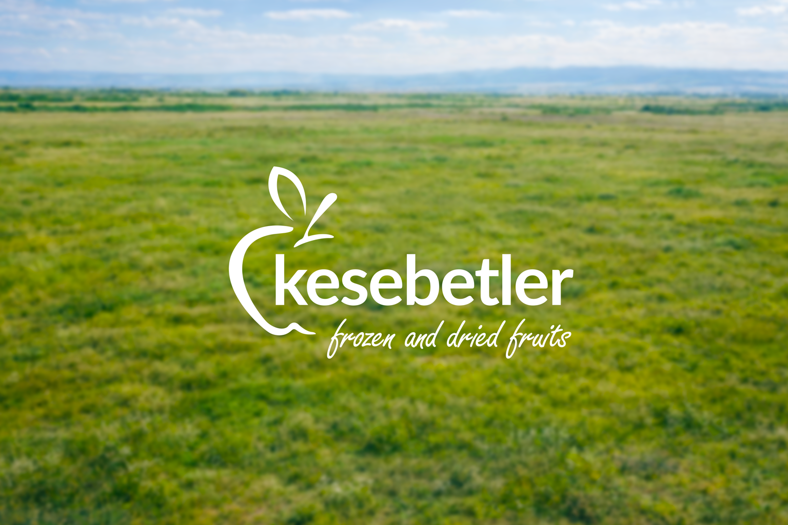 1992 Kesebetler